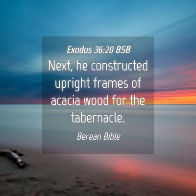 Picture 04 - Exodus 36:20 BSB - Next, he constructed upright frames of acacia - Bible Verse Picture