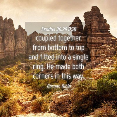 Picture 04 - Exodus 36:29 BSB - coupled together from bottom to top and fitted - Bible Verse Picture