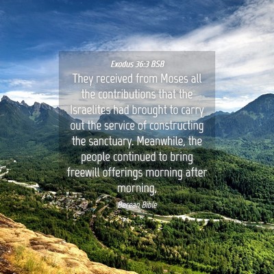 Picture 04 - Exodus 36:3 BSB - They received from Moses all the contributions - Bible Verse Picture
