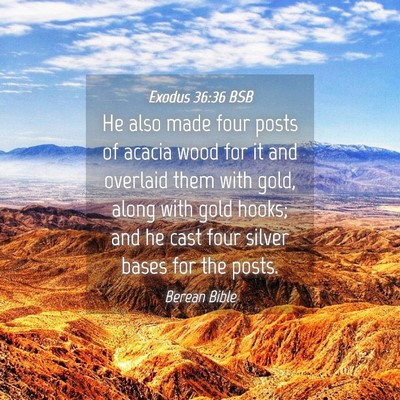 Picture 04 - Exodus 36:36 BSB - He also made four posts of acacia wood for it and - Bible Verse Picture
