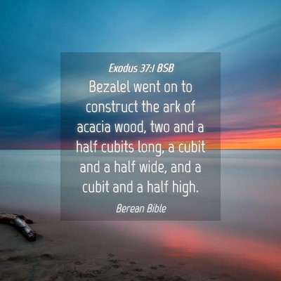 Picture 04 - Exodus 37:1 BSB - Bezalel went on to construct the ark of acacia - Bible Verse Picture
