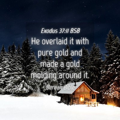 Picture 04 - Exodus 37:11 BSB - He overlaid it with pure gold and made a gold - Bible Verse Picture