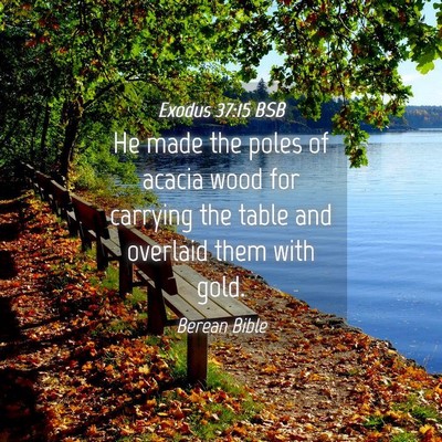 Picture 04 - Exodus 37:15 BSB - He made the poles of acacia wood for carrying the - Bible Verse Picture