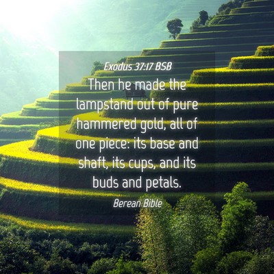 Picture 04 - Exodus 37:17 BSB - Then he made the lampstand out of pure hammered - Bible Verse Picture