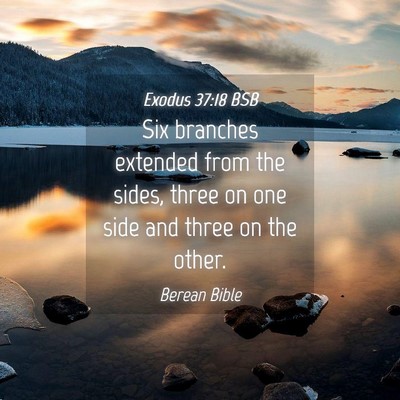 Picture 04 - Exodus 37:18 BSB - Six branches extended from the sides, three on - Bible Verse Picture