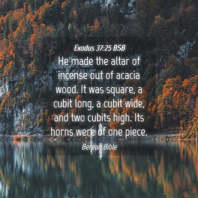 Picture 04 - Exodus 37:25 BSB - He made the altar of incense out of acacia wood. - Bible Verse Picture