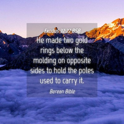 Picture 04 - Exodus 37:27 BSB - He made two gold rings below the molding on - Bible Verse Picture