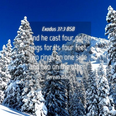 Picture 04 - Exodus 37:3 BSB - And he cast four gold rings for its four feet, - Bible Verse Picture