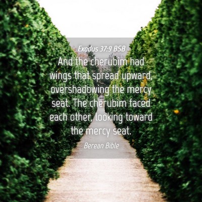 Picture 04 - Exodus 37:9 BSB - And the cherubim had wings that spread upward, - Bible Verse Picture