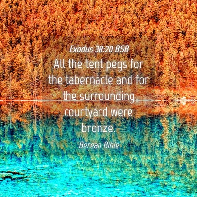 Picture 04 - Exodus 38:20 BSB - All the tent pegs for the tabernacle and for the - Bible Verse Picture