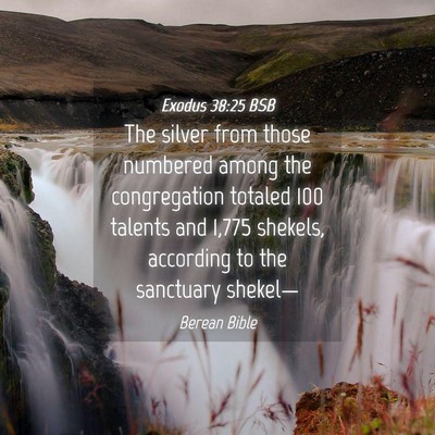 Picture 04 - Exodus 38:25 BSB - The silver from those numbered among the - Bible Verse Picture