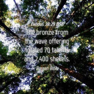 Picture 04 - Exodus 38:29 BSB - The bronze from the wave offering totaled 70 - Bible Verse Picture