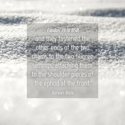 Picture 04 - Exodus 39:18 BSB - and they fastened the other ends of the two - Bible Verse Picture