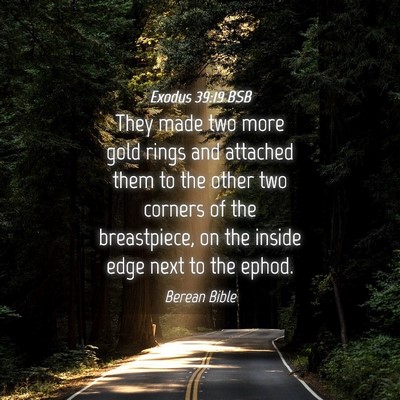 Picture 04 - Exodus 39:19 BSB - They made two more gold rings and attached them - Bible Verse Picture