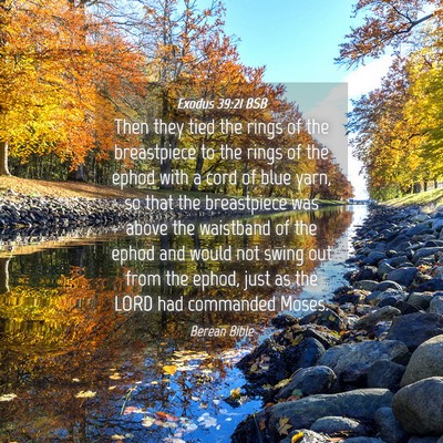 Picture 04 - Exodus 39:21 BSB - Then they tied the rings of the breastpiece to - Bible Verse Picture