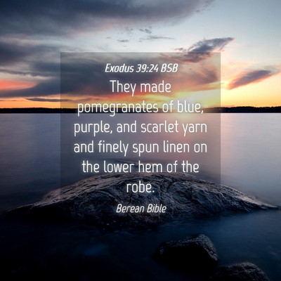 Picture 04 - Exodus 39:24 BSB - They made pomegranates of blue, purple, and - Bible Verse Picture