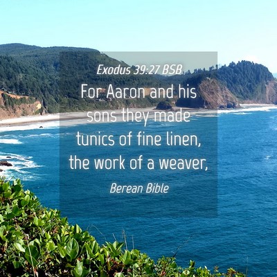 Picture 04 - Exodus 39:27 BSB - For Aaron and his sons they made tunics of fine - Bible Verse Picture