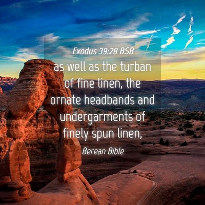 Picture 04 - Exodus 39:28 BSB - as well as the turban of fine linen, the ornate - Bible Verse Picture