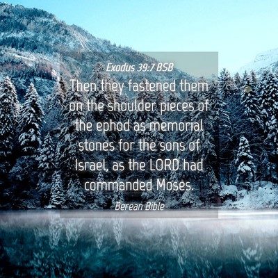 Picture 04 - Exodus 39:7 BSB - Then they fastened them on the shoulder pieces of - Bible Verse Picture
