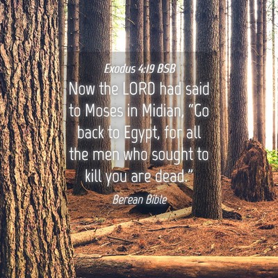 Picture 04 - Exodus 4:19 BSB - Now the LORD had said to Moses in Midian, “Go - Bible Verse Picture