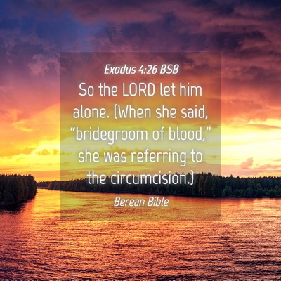 Picture 04 - Exodus 4:26 BSB - So the LORD let him alone. (When she said, - Bible Verse Picture