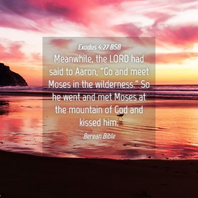 Picture 04 - Exodus 4:27 BSB - Meanwhile, the LORD had said to Aaron, “Go and - Bible Verse Picture