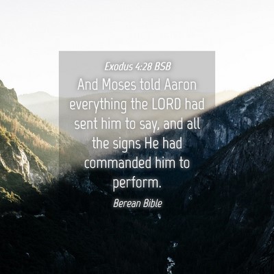 Picture 04 - Exodus 4:28 BSB - And Moses told Aaron everything the LORD had sent - Bible Verse Picture