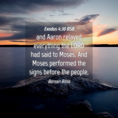 Picture 04 - Exodus 4:30 BSB - and Aaron relayed everything the LORD had said to - Bible Verse Picture