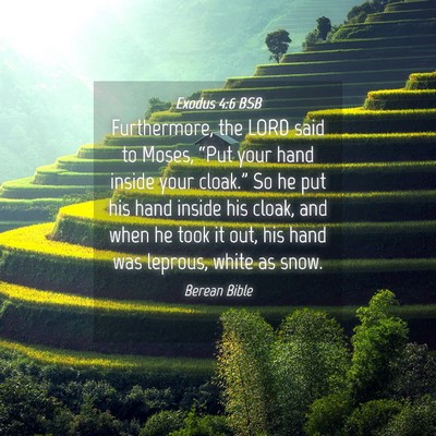 Picture 04 - Exodus 4:6 BSB - Furthermore, the LORD said to Moses, “Put your - Bible Verse Picture