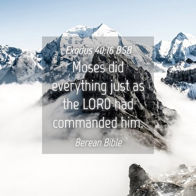 Picture 04 - Exodus 40:16 BSB - Moses did everything just as the LORD had - Bible Verse Picture