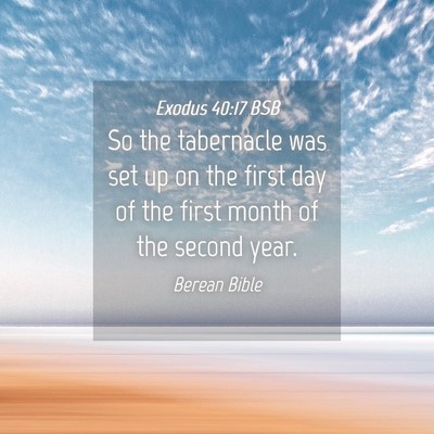 Picture 04 - Exodus 40:17 BSB - So the tabernacle was set up on the first day of - Bible Verse Picture