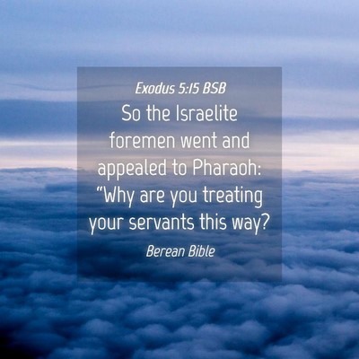 Picture 04 - Exodus 5:15 BSB - So the Israelite foremen went and appealed to - Bible Verse Picture