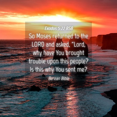 Picture 04 - Exodus 5:22 BSB - So Moses returned to the LORD and asked, “Lord, - Bible Verse Picture