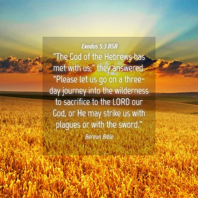 Picture 04 - Exodus 5:3 BSB - “The God of the Hebrews has met with us,” - Bible Verse Picture