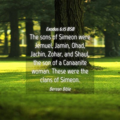 Picture 04 - Exodus 6:15 BSB - The sons of Simeon were Jemuel, Jamin, Ohad, - Bible Verse Picture