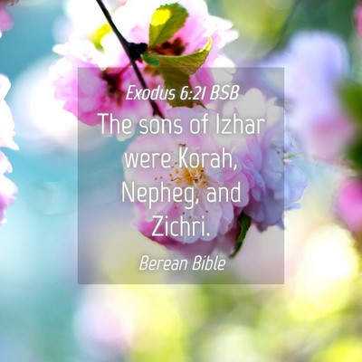 Picture 04 - Exodus 6:21 BSB - The sons of Izhar were Korah, Nepheg, and - Bible Verse Picture
