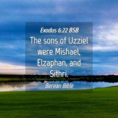 Picture 04 - Exodus 6:22 BSB - The sons of Uzziel were Mishael, Elzaphan, and - Bible Verse Picture