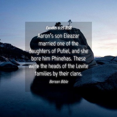 Picture 04 - Exodus 6:25 BSB - Aaron’s son Eleazar married one of the - Bible Verse Picture