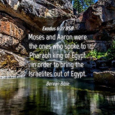 Picture 04 - Exodus 6:27 BSB - Moses and Aaron were the ones who spoke to - Bible Verse Picture