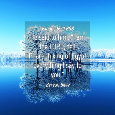 Picture 04 - Exodus 6:29 BSB - He said to him, “I am the LORD; tell Pharaoh - Bible Verse Picture