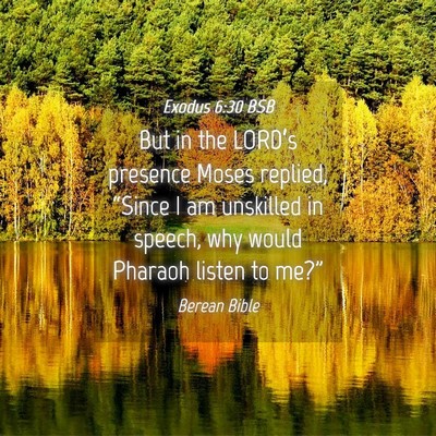 Picture 04 - Exodus 6:30 BSB - But in the LORD’s presence Moses replied, - Bible Verse Picture