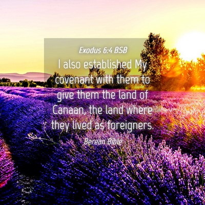 Picture 04 - Exodus 6:4 BSB - I also established My covenant with them to give - Bible Verse Picture