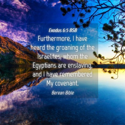 Picture 04 - Exodus 6:5 BSB - Furthermore, I have heard the groaning of the - Bible Verse Picture