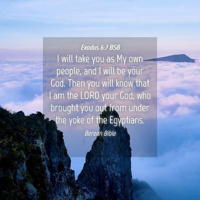 Picture 04 - Exodus 6:7 BSB - I will take you as My own people, and I will be - Bible Verse Picture