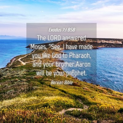 Picture 04 - Exodus 7:1 BSB - The LORD answered Moses, “See, I have made you - Bible Verse Picture
