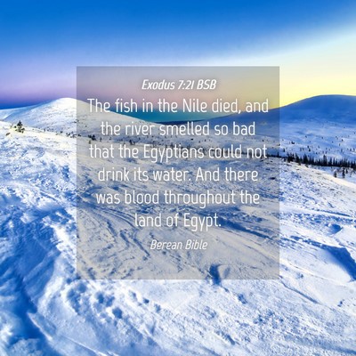Picture 04 - Exodus 7:21 BSB - The fish in the Nile died, and the river smelled - Bible Verse Picture