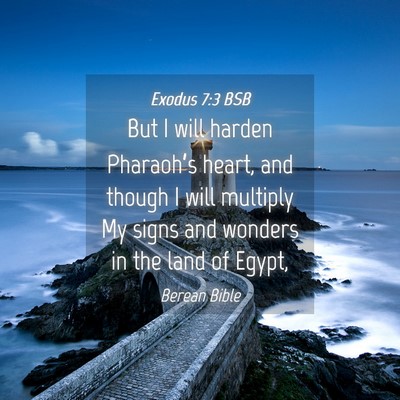 Picture 04 - Exodus 7:3 BSB - But I will harden Pharaoh’s heart, and though I - Bible Verse Picture