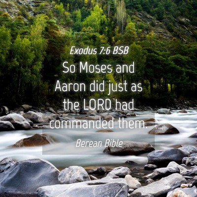 Picture 04 - Exodus 7:6 BSB - So Moses and Aaron did just as the LORD had - Bible Verse Picture