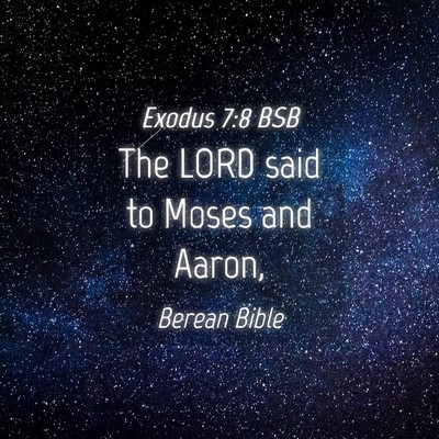 Picture 04 - Exodus 7:8 BSB - The LORD said to Moses and - Bible Verse Picture
