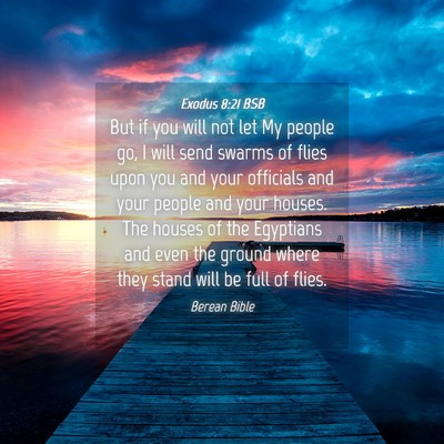 Picture 04 - Exodus 8:21 BSB - But if you will not let My people go, I will send - Bible Verse Picture